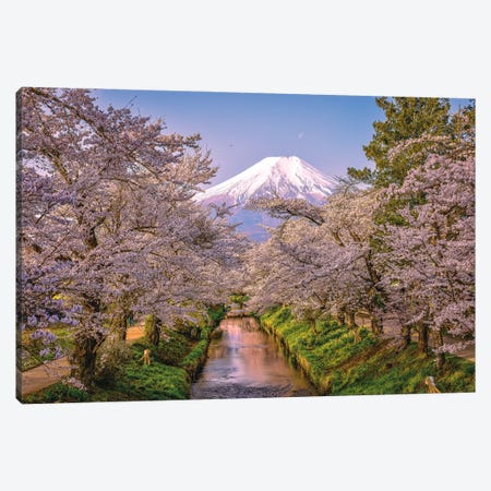 Looking Up The Shinnasho River At Cherry Bloosoms And Mt. Fuji III Canvas Print #AGP529} by Alex G Perez Canvas Artwork