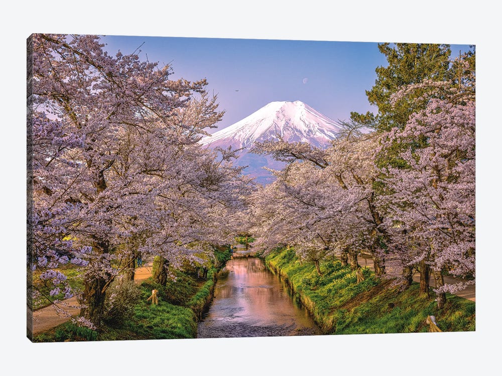 Looking Up The Shinnasho River At Cherry Bloosoms And Mt. Fuji III by Alex G Perez 1-piece Canvas Artwork