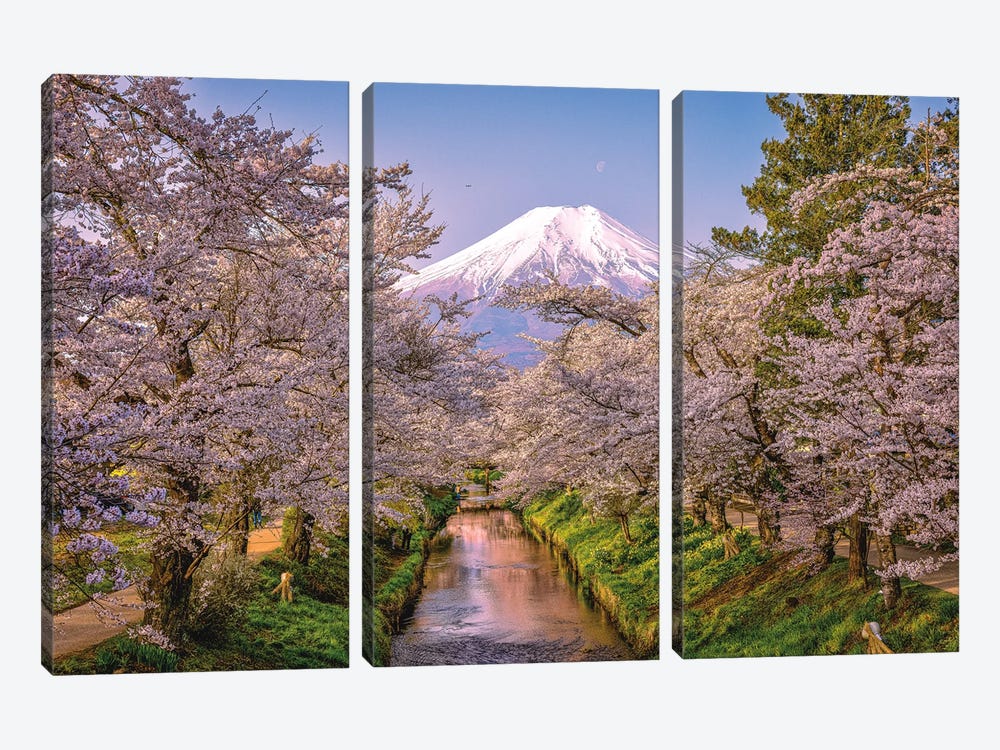 Looking Up The Shinnasho River At Cherry Bloosoms And Mt. Fuji III by Alex G Perez 3-piece Canvas Wall Art