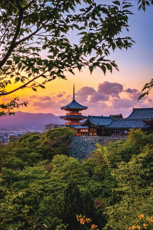 Sunset At Kiyomizu-Dera Temple Kyoto, Japan IV