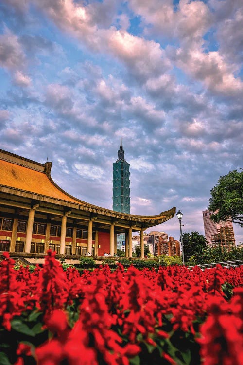 View From Zhongshan Park Toward Taipei 101 by Alex G Perez wall art