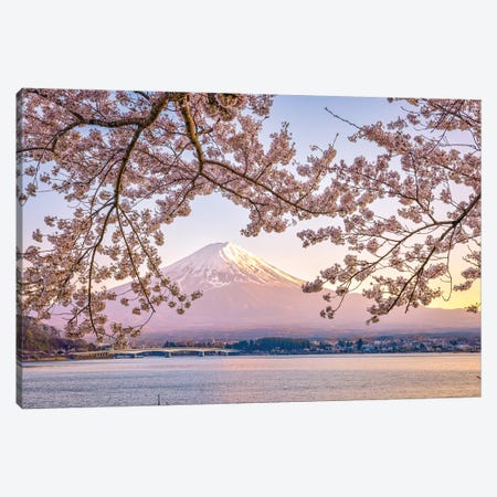 View Of Mt. Fuji Through Cherry Blossom Trees, Lake Kawaguchi I Canvas Print #AGP541} by Alex G Perez Canvas Artwork
