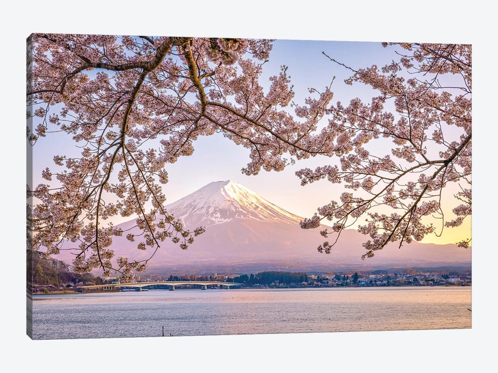View Of Mt. Fuji Through Cherry Blossom Trees, Lake Kawaguchi I by Alex G Perez 1-piece Canvas Artwork