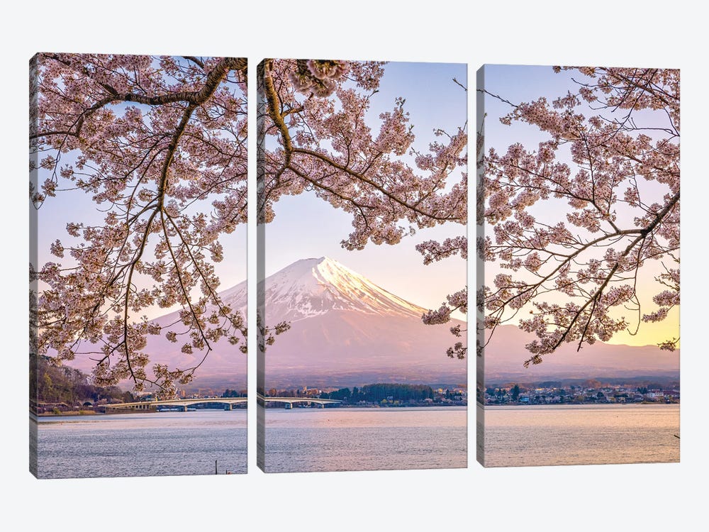 View Of Mt. Fuji Through Cherry Blossom Trees, Lake Kawaguchi I by Alex G Perez 3-piece Canvas Art