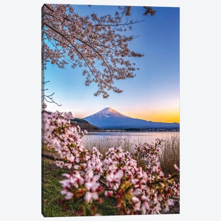 View Of Mt. Fuji Through Cherry Blossom Trees, Lake Kawaguchi II Canvas Print #AGP542} by Alex G Perez Canvas Artwork