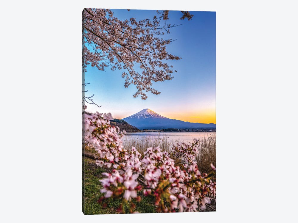 View Of Mt. Fuji Through Cherry Blossom Trees, Lake Kawaguchi II by Alex G Perez 1-piece Art Print