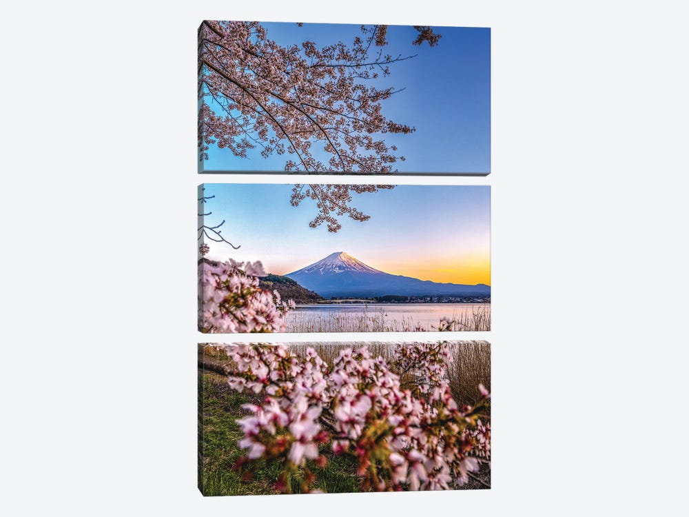 View Of Mt. Fuji Through Cherry Blossom Trees, Lake Kawaguchi II by Alex G Perez 3-piece Art Print