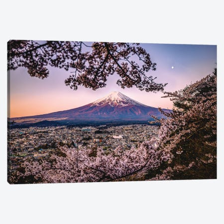 View Of Mt. Fuji Through Cherry Blossom Trees, Lake Kawaguchi III Canvas Print #AGP543} by Alex G Perez Canvas Wall Art
