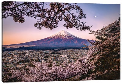 View Of Mt. Fuji Through Cherry Blossom Trees, Lake Kawaguchi III Canvas Art Print - Alex G Perez