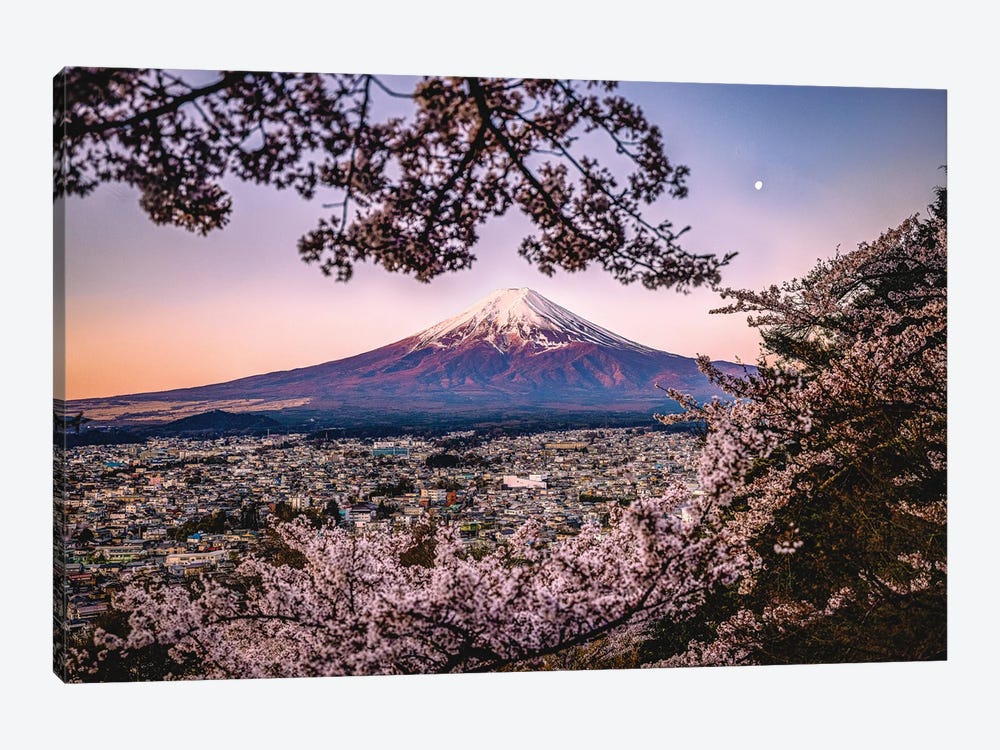 View Of Mt. Fuji Through Cherry Blossom Trees, Lake Kawaguchi III by Alex G Perez 1-piece Canvas Wall Art