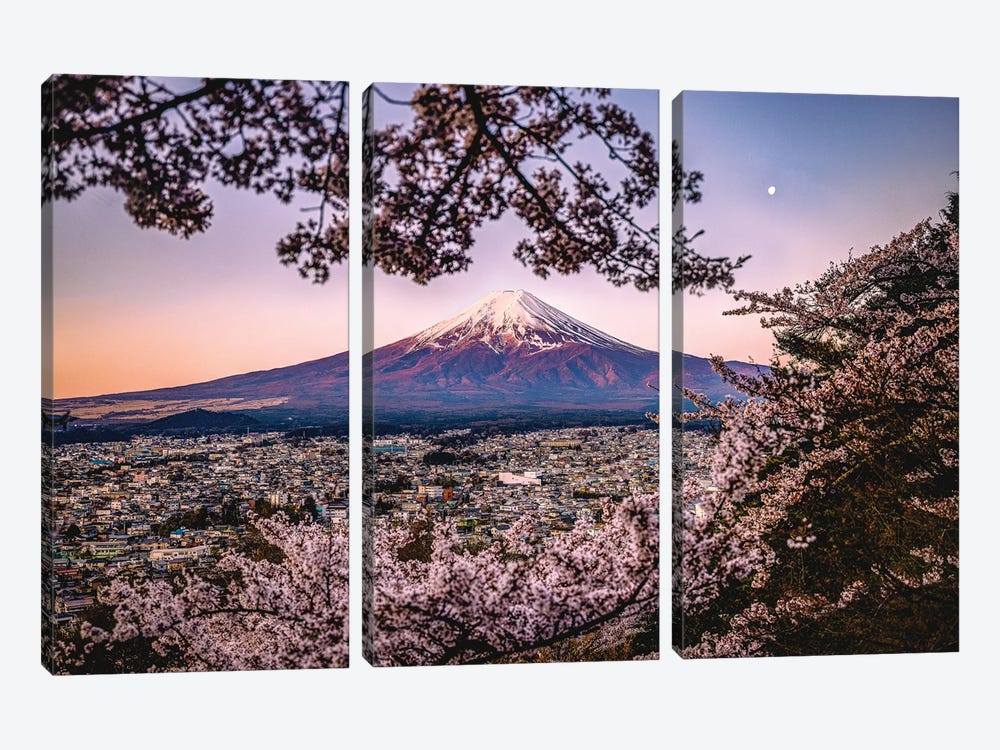 View Of Mt. Fuji Through Cherry Blossom Trees, Lake Kawaguchi III by Alex G Perez 3-piece Canvas Art