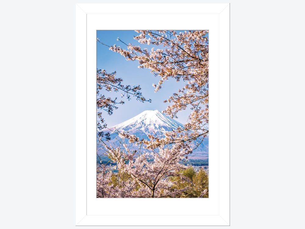 Cherry Blossom - Freshcut Paper – Terrazza