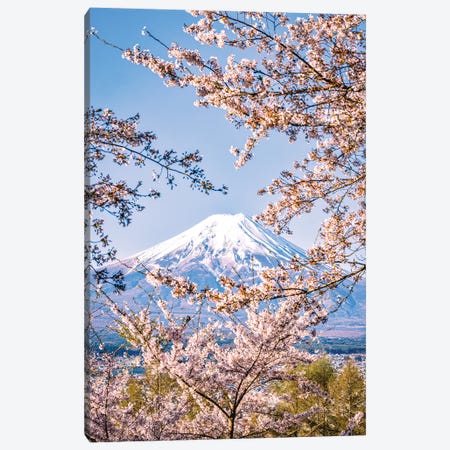 View Of Mt. Fuji Through Cherry Blossom Trees, Lake Kawaguchi IV Canvas Print #AGP544} by Alex G Perez Canvas Art Print