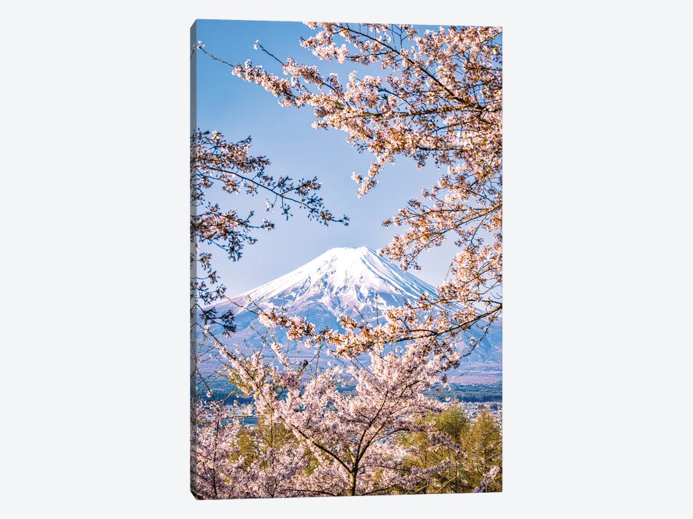 View Of Mt. Fuji Through Cherry Blossom Trees, Lake Kawaguchi IV by Alex G Perez 1-piece Art Print