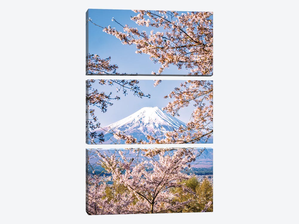 View Of Mt. Fuji Through Cherry Blossom Trees, Lake Kawaguchi IV by Alex G Perez 3-piece Canvas Art Print