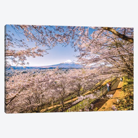View Of Mt. Fuji Through Cherry Blossom Trees, Lake Kawaguchi V Canvas Print #AGP545} by Alex G Perez Canvas Print