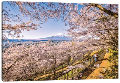 View Of Mt. Fuji Through Cherry Blossom Trees, Lake Kawaguchi V Canvas Art Print - Alex G Perez