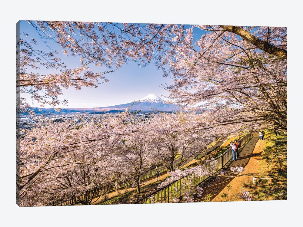 View Of Mt. Fuji Through Cherry Blossom Trees, Lake Kawaguchi V by Alex G Perez 1-piece Canvas Wall Art