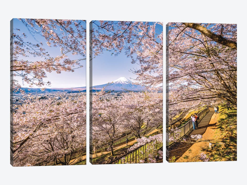 View Of Mt. Fuji Through Cherry Blossom Trees, Lake Kawaguchi V by Alex G Perez 3-piece Canvas Artwork
