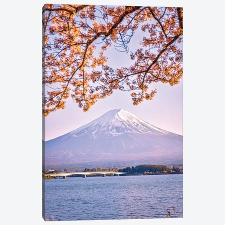 View Of Mt. Fuji Through Cherry Blossom Trees, Lake Kawaguchi VI Canvas Print #AGP546} by Alex G Perez Art Print