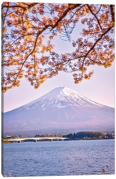 View Of Mt. Fuji Through Cherry Blossom Trees, Lake Kawaguchi VI Canvas Art Print - Alex G Perez