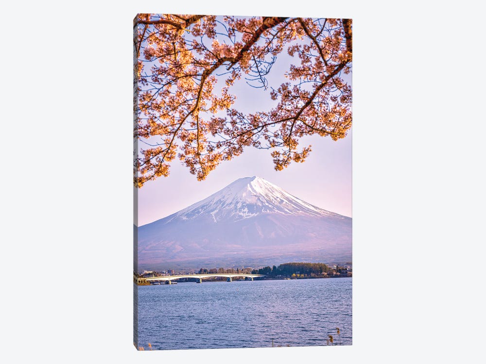 View Of Mt. Fuji Through Cherry Blossom Trees, Lake Kawaguchi VI by Alex G Perez 1-piece Art Print