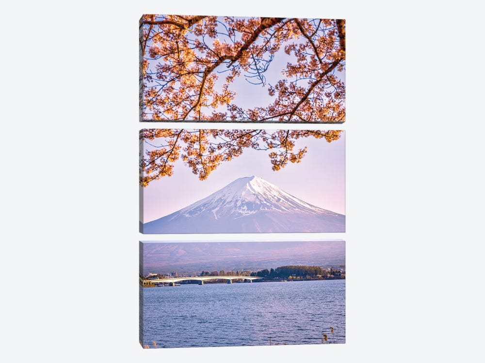 View Of Mt. Fuji Through Cherry Blossom Trees, Lake Kawaguchi VI by Alex G Perez 3-piece Canvas Print