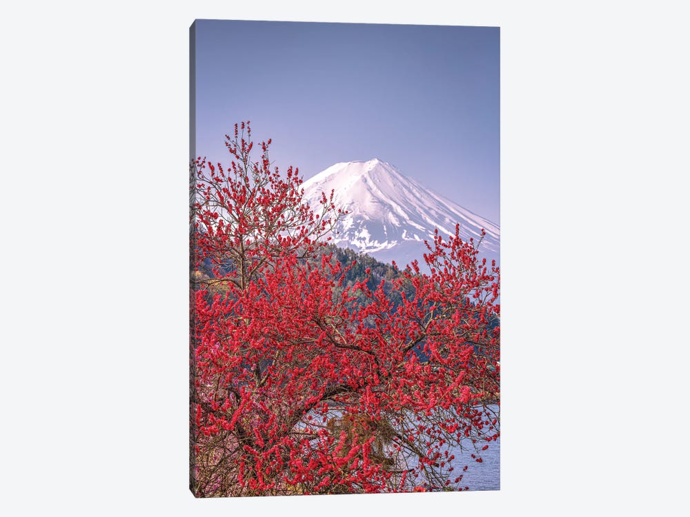 View Of Mt. Fuji Through Cherry Blossom Trees, Lake Kawaguchi VII by Alex G Perez 1-piece Canvas Artwork