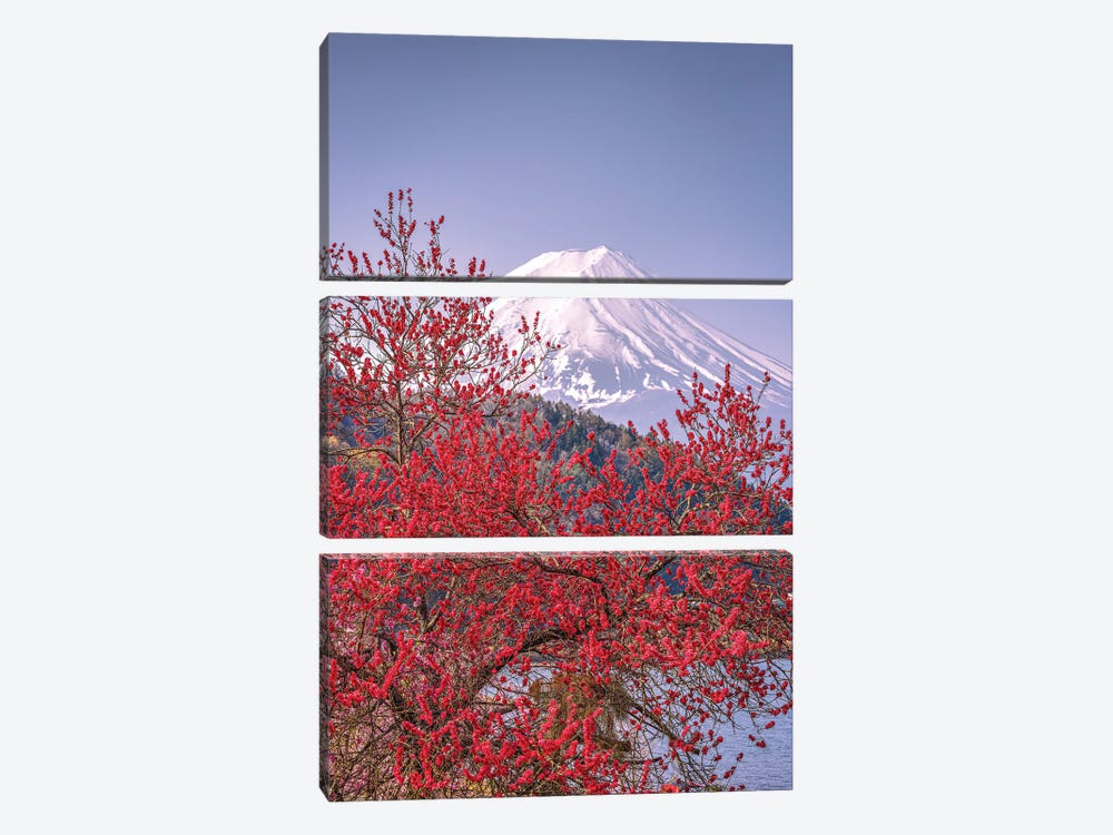 View Of Mt. Fuji Through Cherry Blossom Trees, Lake Kawaguchi VII by Alex G Perez 3-piece Canvas Wall Art