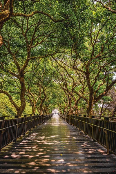 Taiwan: Zhishan Garden, Taiwan by Alex G Perez