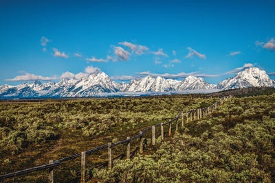 Grand Teton Mountain Range IV by Alex G Perez canvas print