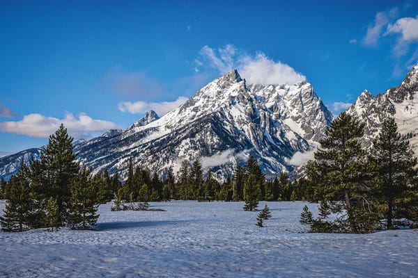 Teton Range: Grand Teton Mountain Range V by Alex G Perez