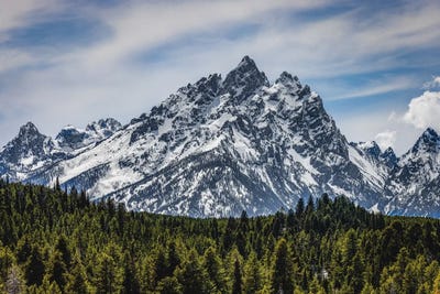 Grand Teton Mountain Range IX by Alex G Perez canvas print