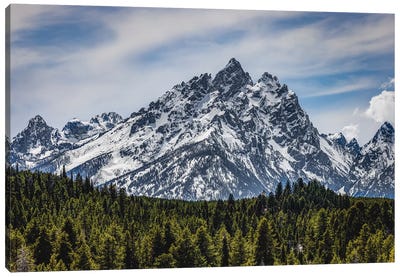 Grand Teton Mountain Range IX Canvas Art Print - Rocky Mountain Art