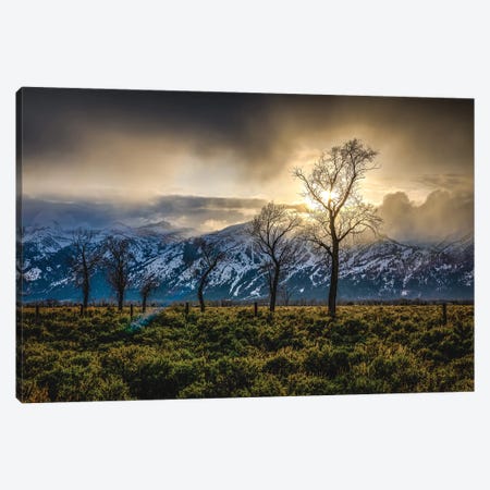 Grand Teton Sunset Trees Canvas Print #AGP588} by Alex G Perez Canvas Art