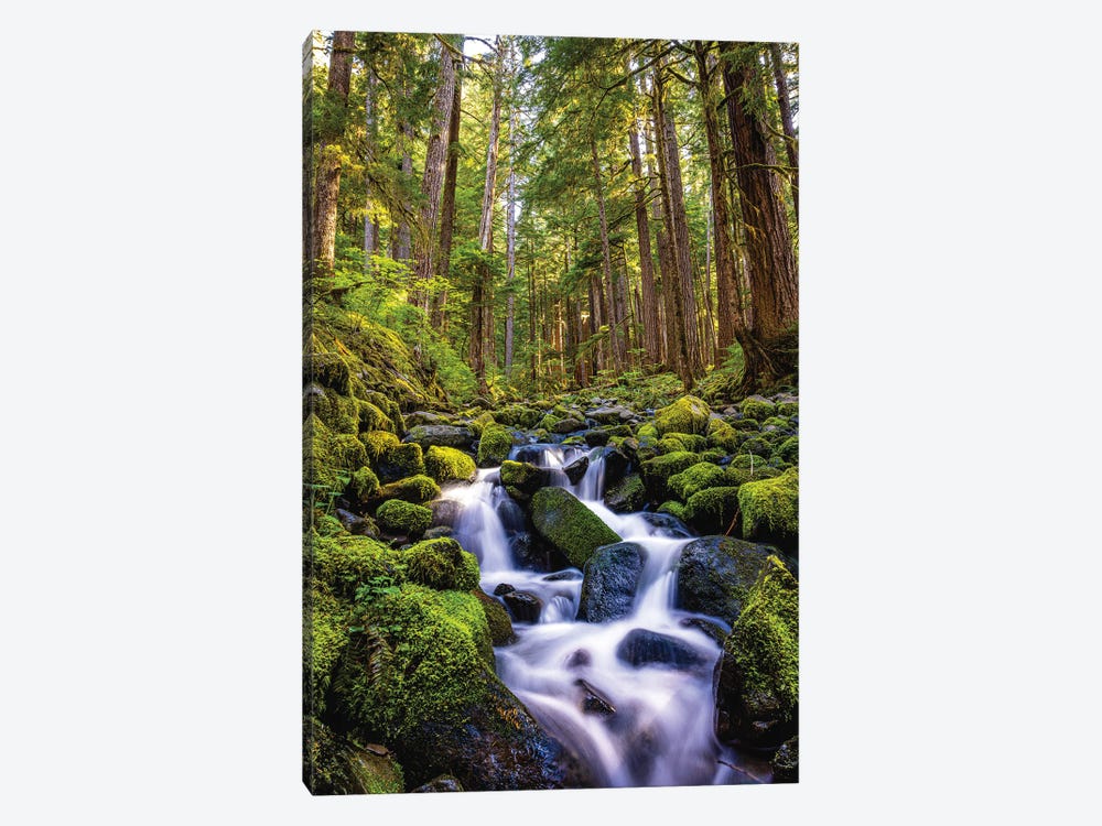 Olympic National Park Forest Waterfall I by Alex G Perez 1-piece Canvas Art