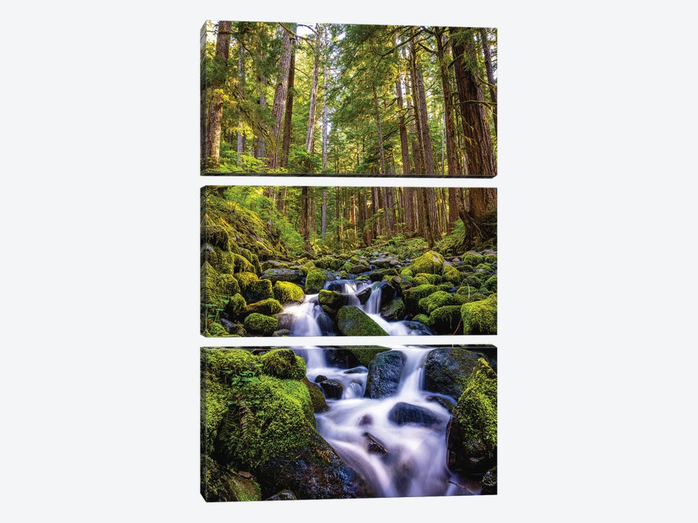 Olympic National Park Forest Waterfall I by Alex G Perez 3-piece Canvas Wall Art
