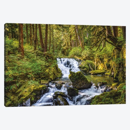Olympic National Park Forest Waterfall II Canvas Print #AGP595} by Alex G Perez Canvas Art
