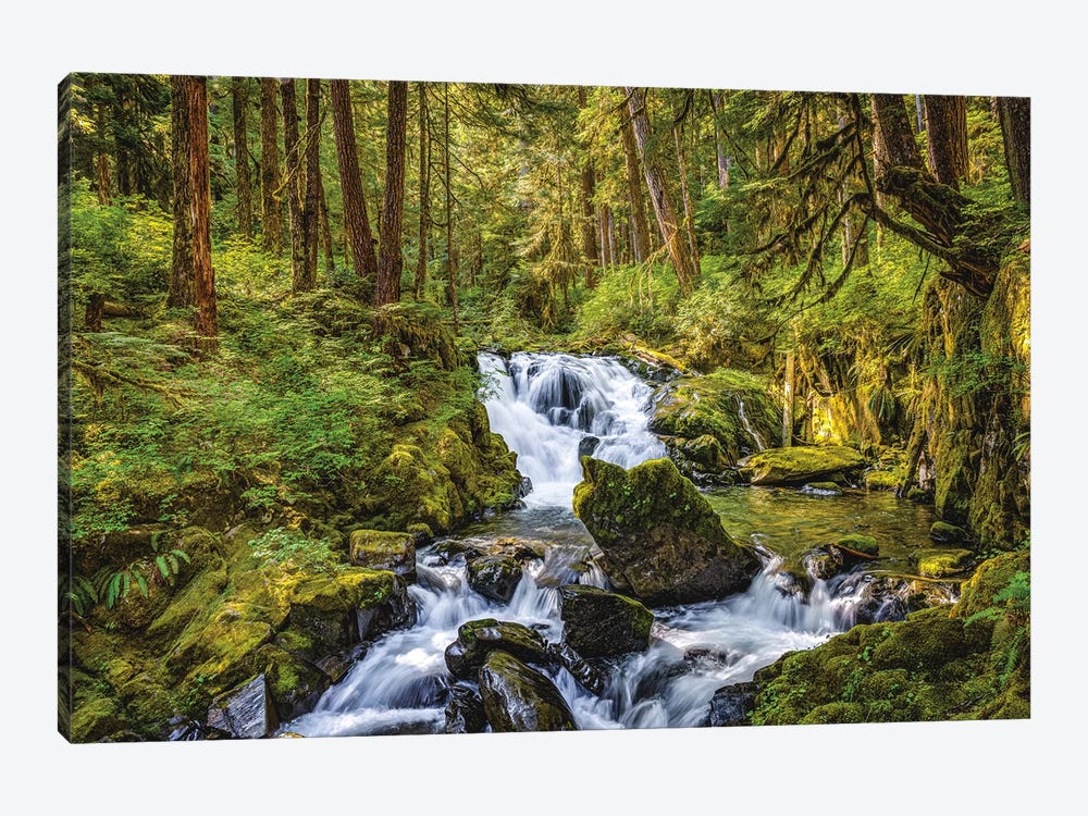Olympic National Park Forest Waterfall II by Alex G Perez 1-piece Canvas Print