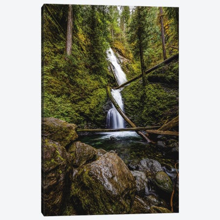 Olympic National Park Forest Waterfall III Canvas Print #AGP596} by Alex G Perez Canvas Art