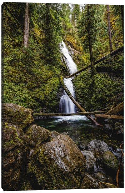 Olympic National Park Forest Waterfall III Canvas Art Print - Alex G Perez