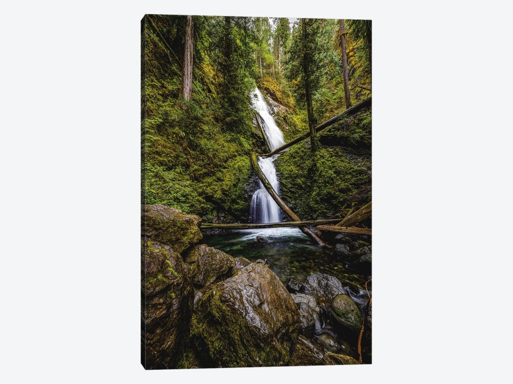 Olympic National Park Forest Waterfall III by Alex G Perez 1-piece Canvas Wall Art
