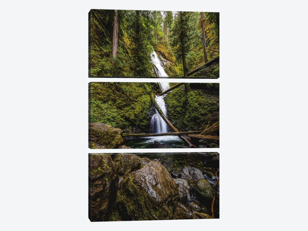 Olympic National Park Forest Waterfall III by Alex G Perez 3-piece Canvas Art