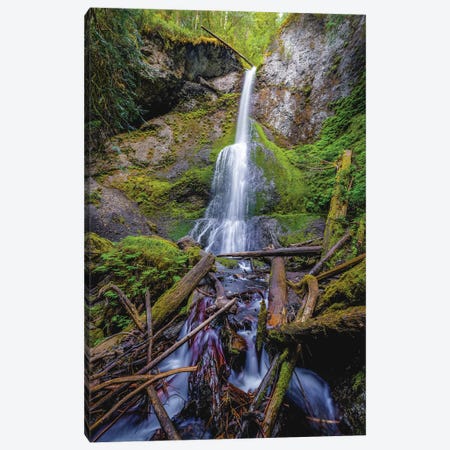 Olympic National Park Forest Waterfall V Canvas Print #AGP598} by Alex G Perez Canvas Print