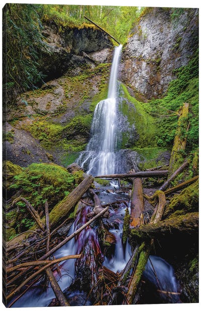 Olympic National Park Forest Waterfall V Canvas Art Print - Alex G Perez