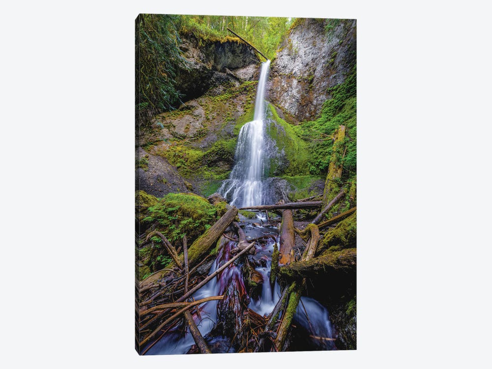Olympic National Park Forest Waterfall V by Alex G Perez 1-piece Canvas Artwork
