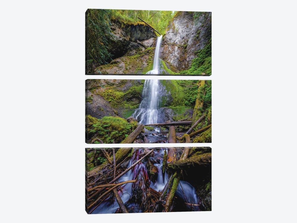 Olympic National Park Forest Waterfall V by Alex G Perez 3-piece Canvas Wall Art
