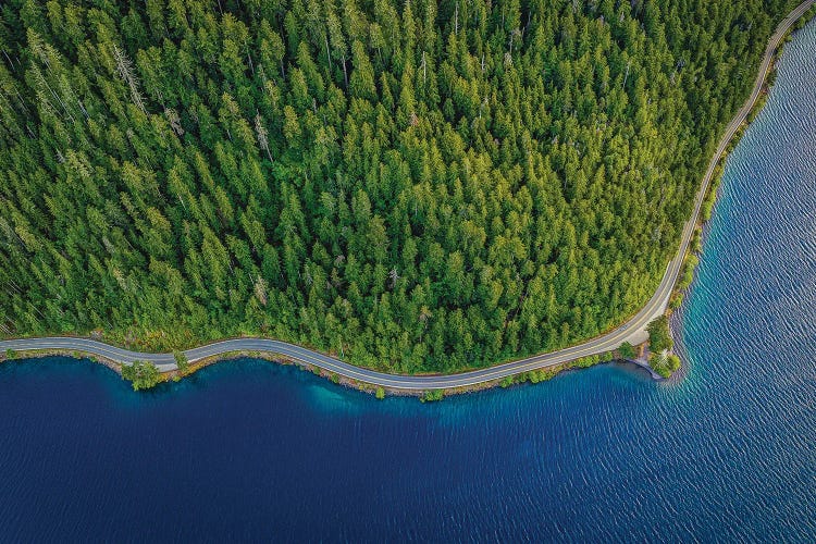 Olympic National Park Lake I