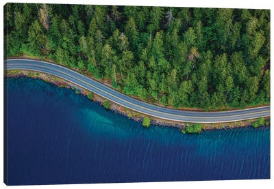 Olympic National Park Lake II Canvas Art Print - Aerial Photography