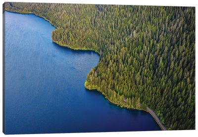 Olympic National Park Lake III Canvas Art Print - Aerial Photography